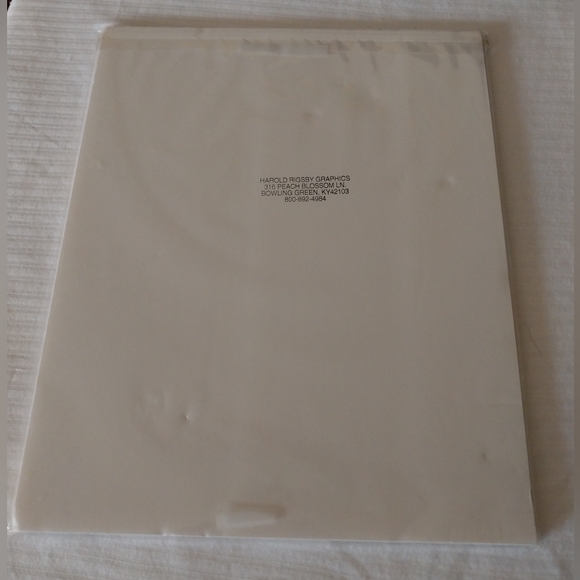 Bald Eagle print - Picture 13 of 15